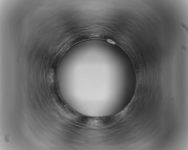 X0000100410174200806131044