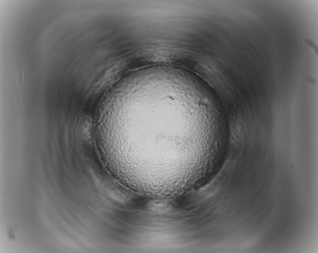 X0000100410175200806131044