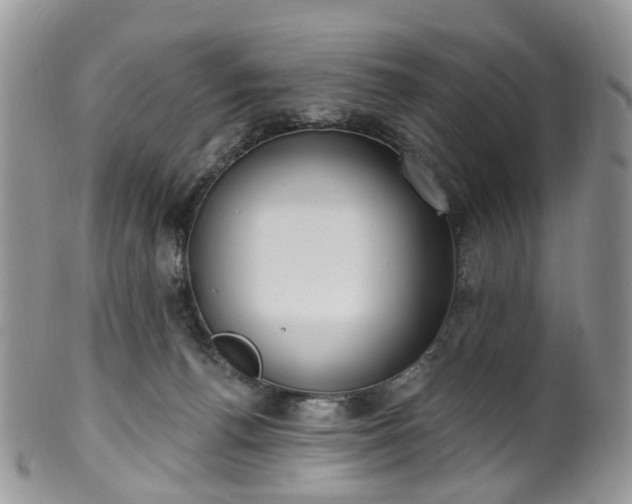 X0000100410176200806131044