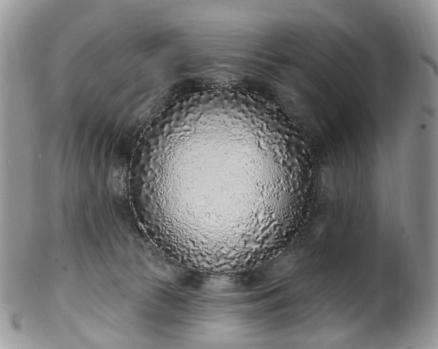 X0000100410177200806131044