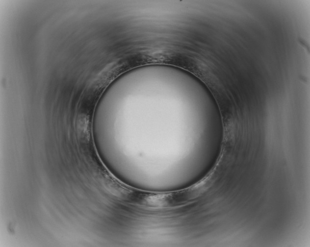 X0000100410178200806131044