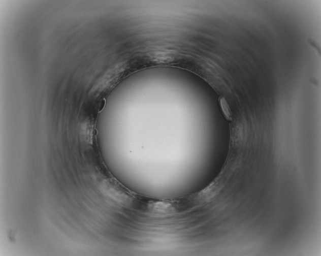 X0000100410180200806131044