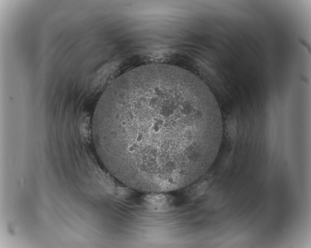 X0000100410181200806131044