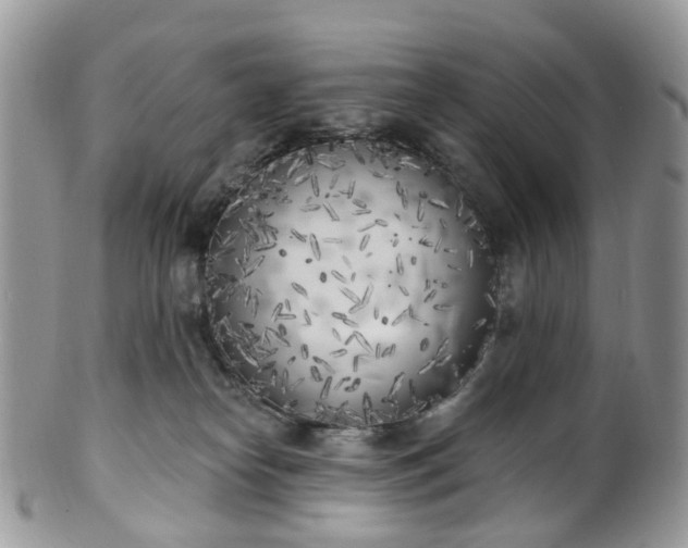X0000100410182200806131044