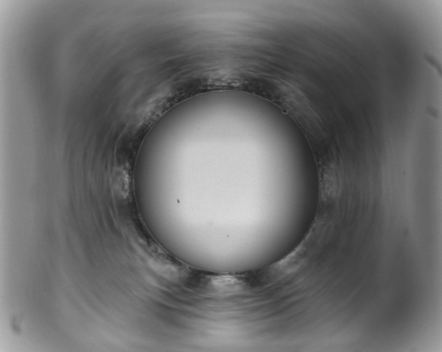 X0000100410183200806131044