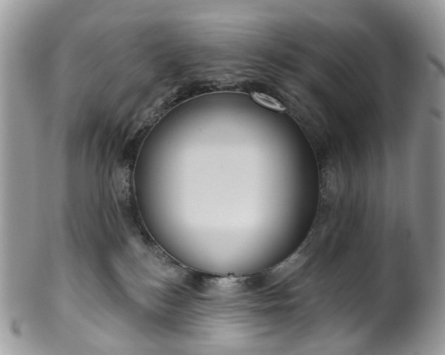 X0000100410184200806131044