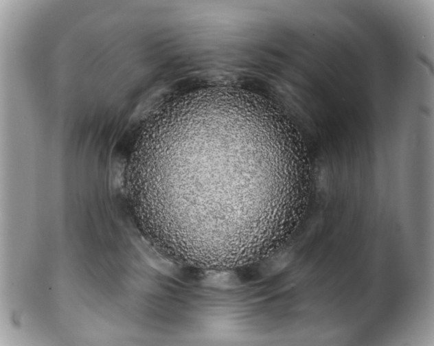 X0000100410185200806131044