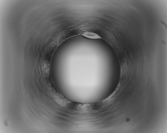 X0000100410186200806131044