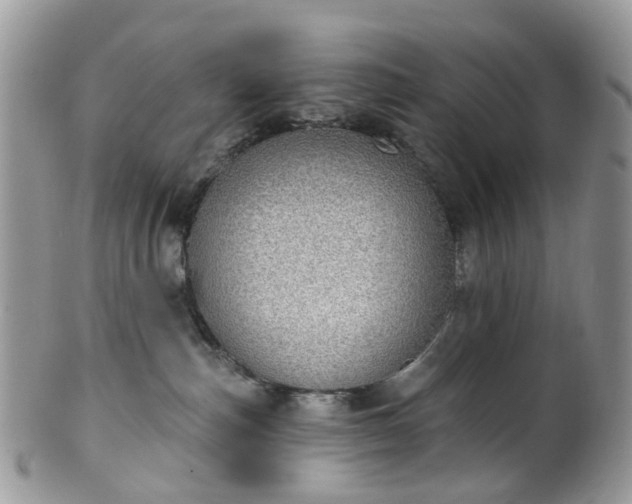 X0000100410187200806131044