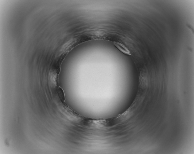 X0000100410188200806131044