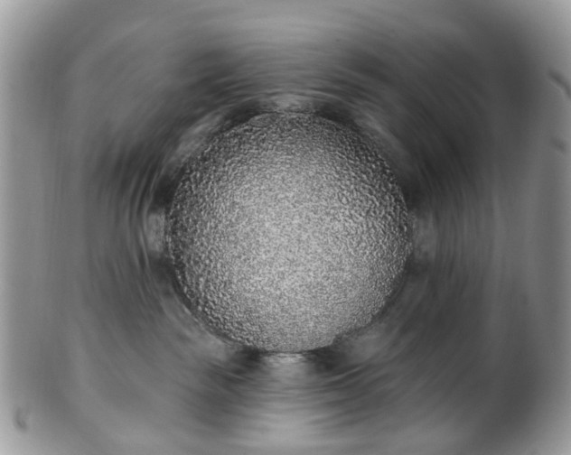 X0000100410189200806131044