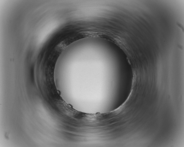 X0000100410190200806131044