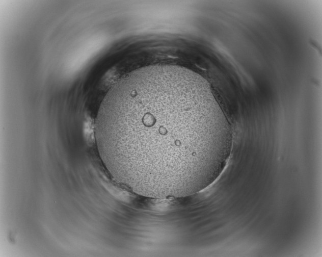 X0000100410191200806131044