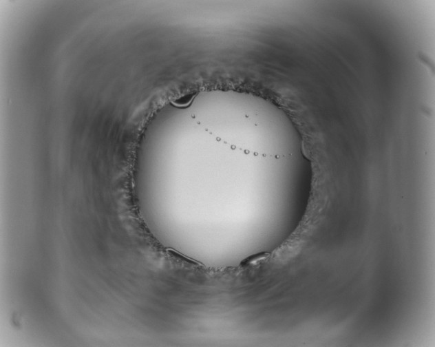 X0000100410192200806131044