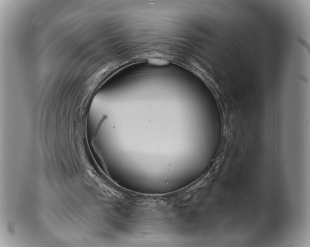 X0000100410193200806131044