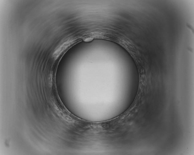 X0000100410194200806131044