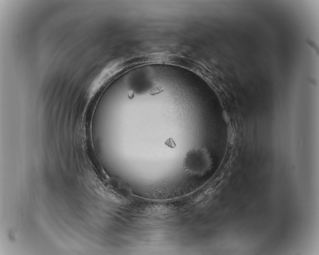 X0000100410198200806131043