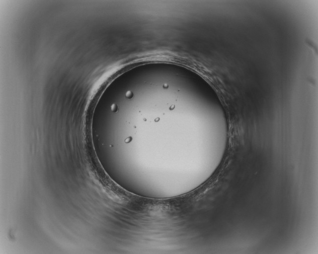 X0000100410200200806131043