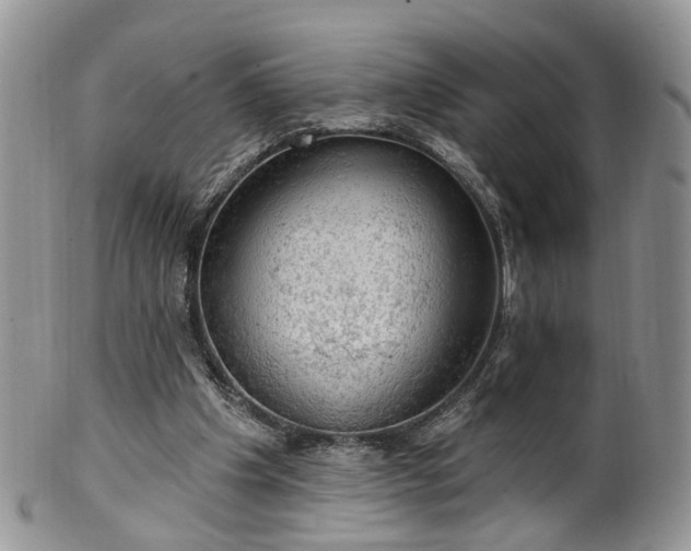 X0000100410201200806131043