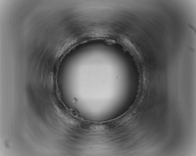 X0000100410202200806131043