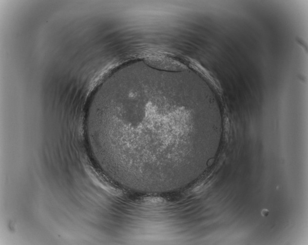 X0000100410203200806131043