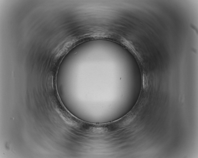 X0000100410205200806131043