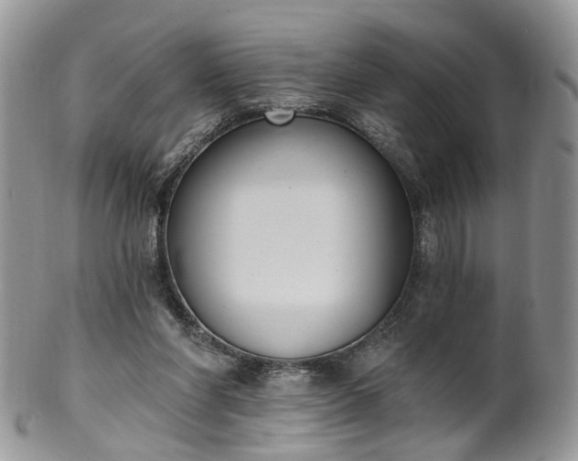 X0000100410206200806131043