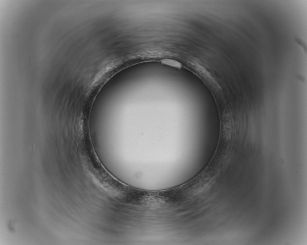 X0000100410207200806131043