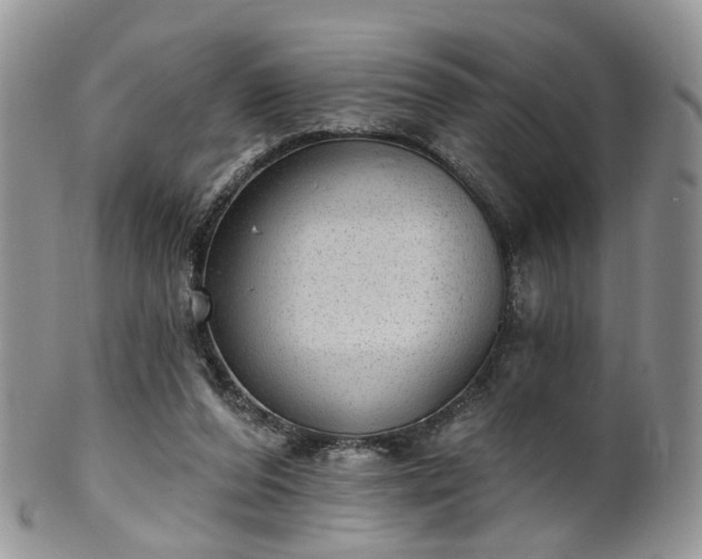 X0000100410208200806131043