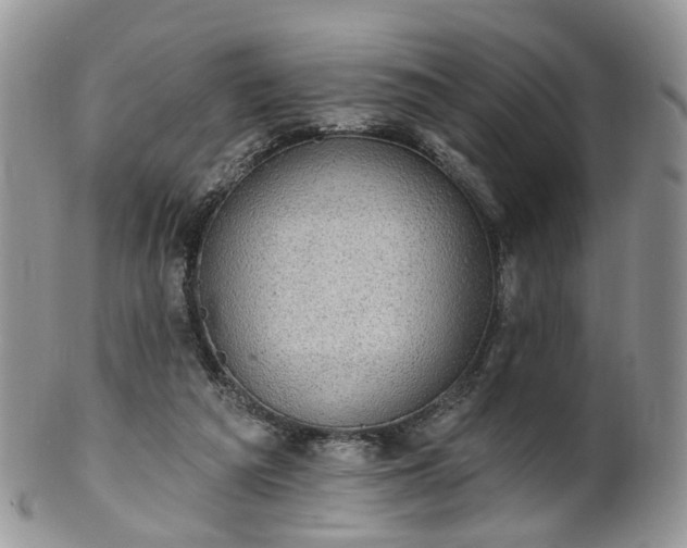 X0000100410209200806131043