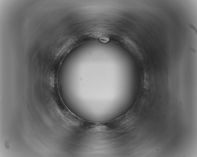 X0000100410210200806131043