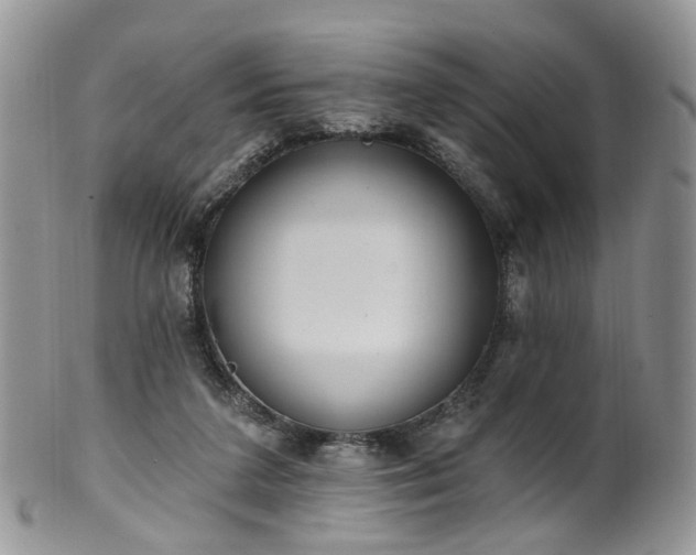 X0000100410211200806131043