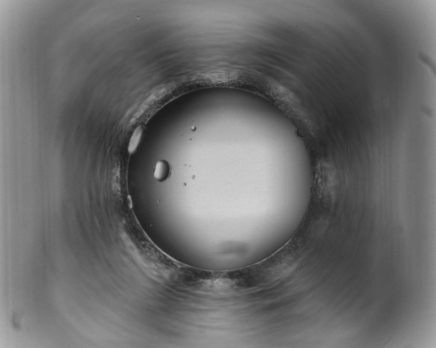 X0000100410212200806131043