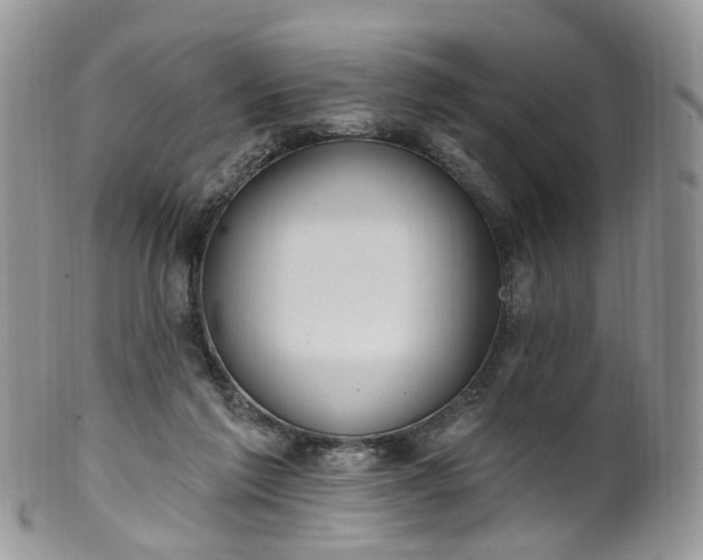 X0000100410213200806131043