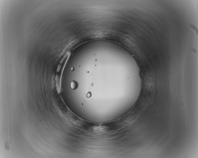 X0000100410216200806131043