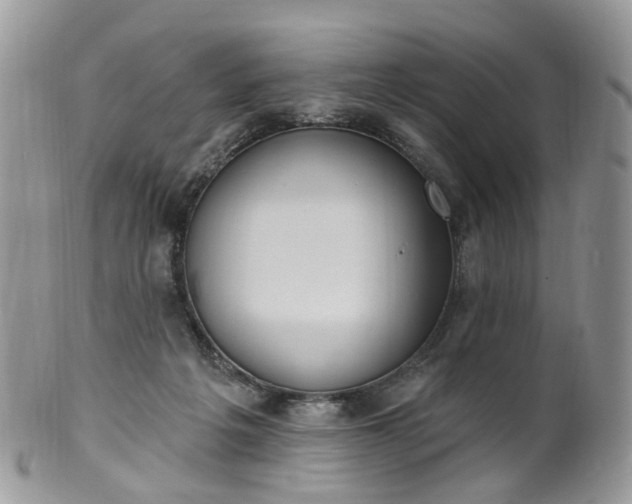 X0000100410217200806131043