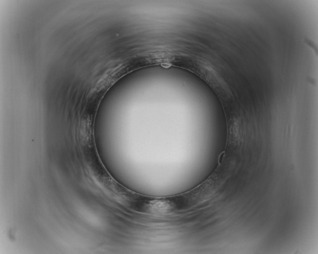 X0000100410218200806131043