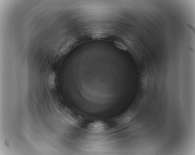 X0000100410219200806131043