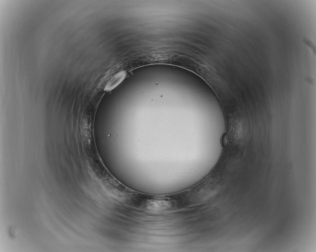 X0000100410220200806131043