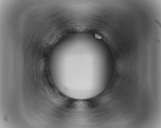 X0000100410221200806131043