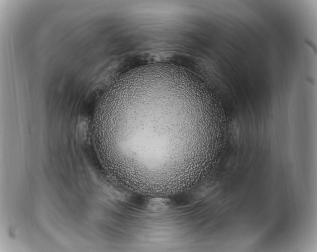 X0000100410222200806131043