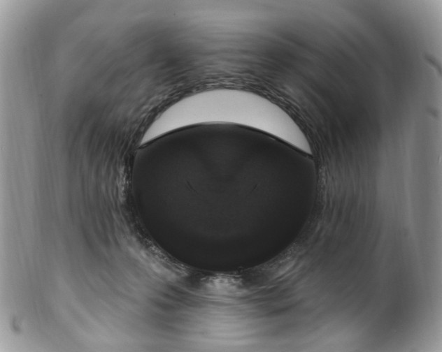 X0000100410223200806131043