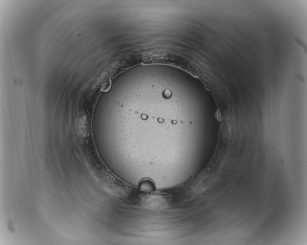 X0000100410224200806131043