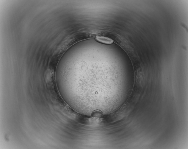 X0000100410225200806131043