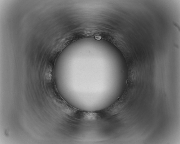 X0000100410226200806131043