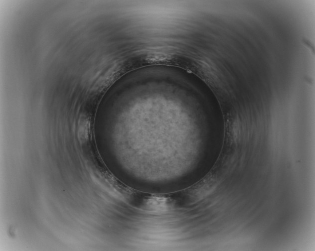 X0000100410227200806131043