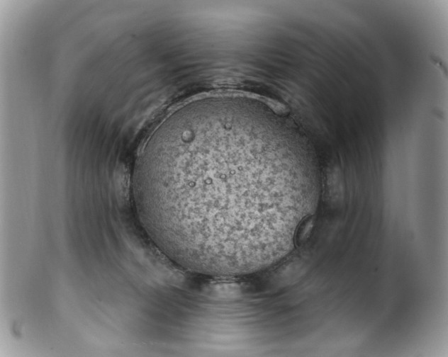 X0000100410228200806131043