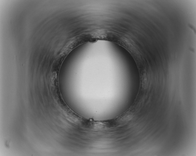 X0000100410229200806131043