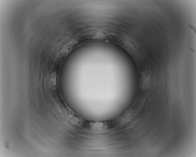 X0000100410230200806131043