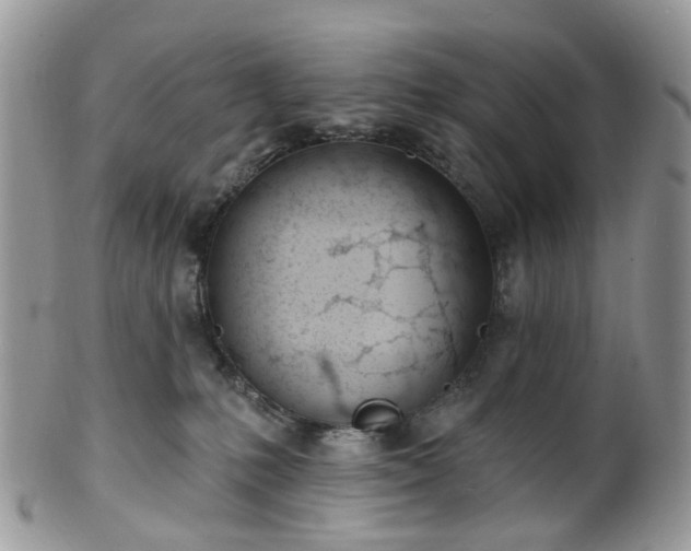 X0000100410231200806131043